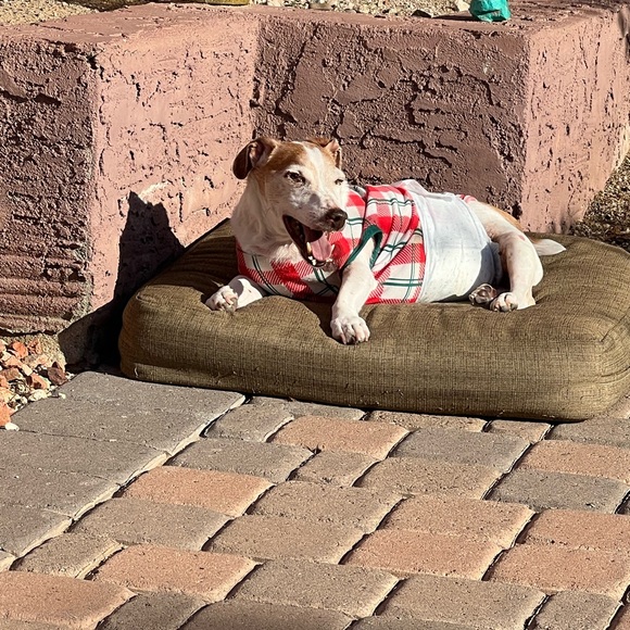 Sold🚫Not For Sale..❌ - Picture 2 of 4